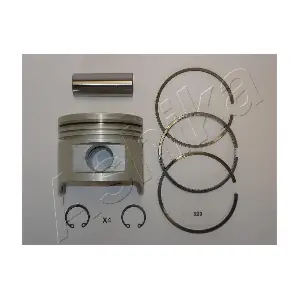 39-220 ASHIKA