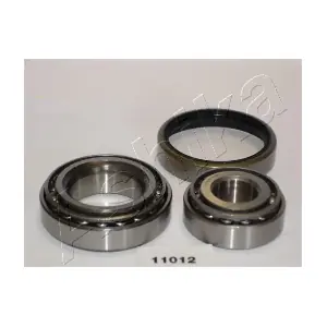 ASHIKA 44-11012