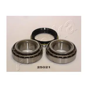 44-25021 ASHIKA