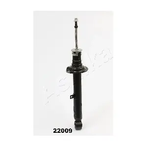 MA-22009 ASHIKA