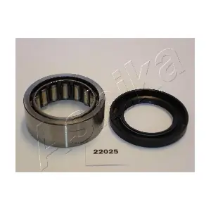 ASHIKA 44-22025