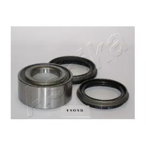 44-11013 ASHIKA