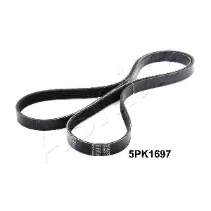 112-5PK1697 ASHIKA
