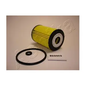 10ECO003 ASHIKA