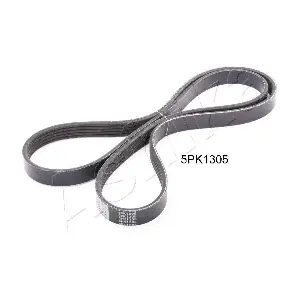 112-5PK1305 ASHIKA