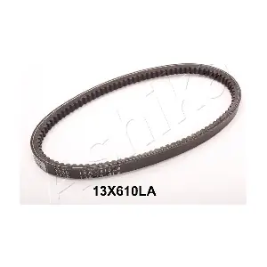 109-13X610 ASHIKA