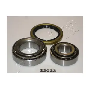 44-22023 ASHIKA