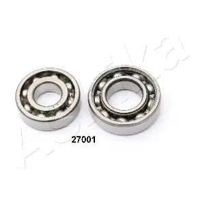 44-27001 ASHIKA