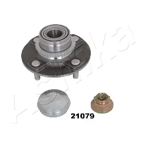 44-21079 ASHIKA