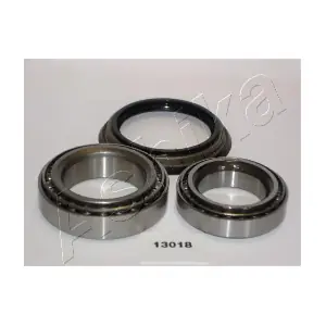 ASHIKA 44-13018