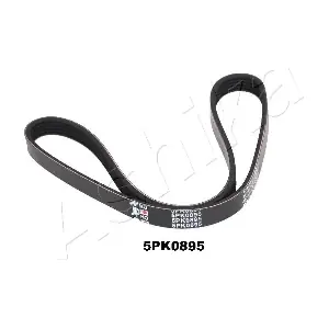 112-5PK895 ASHIKA