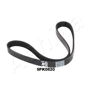 112-5PK820 ASHIKA