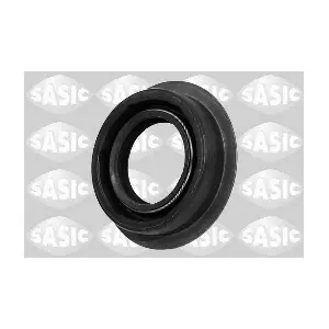 1950013 SASIC