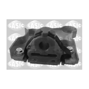 SASIC 2950013