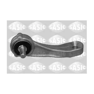 SASIC 2300095
