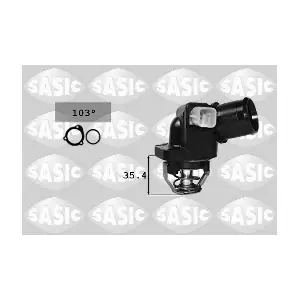 SASIC 3300003
