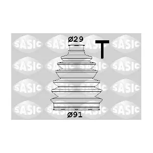 SASIC 1900007