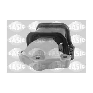 SASIC 2700038