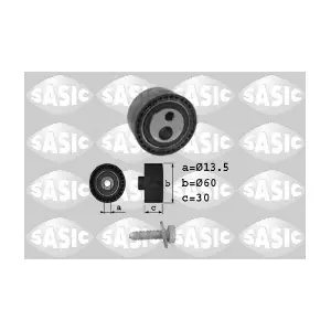 SASIC 1700007