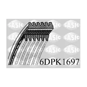 6DPK1697 SASIC