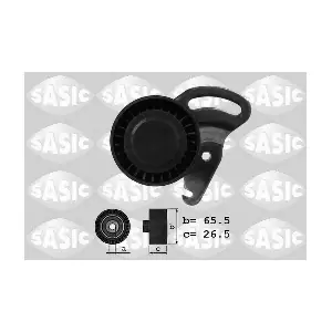 SASIC 1624008