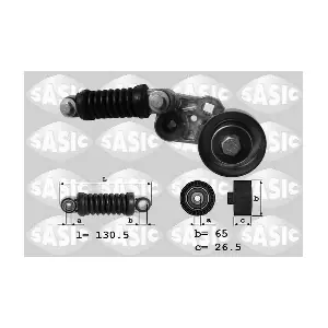 1620076 SASIC
