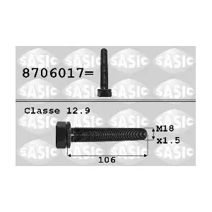 SASIC 8706017