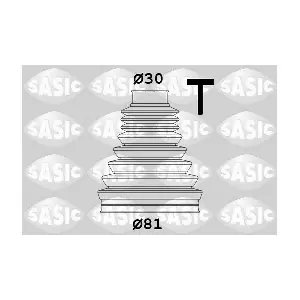 SASIC 1906084