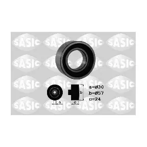 SASIC 1700022
