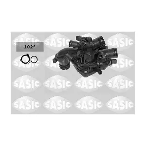 SASIC 3300021