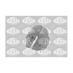 SASIC 2300015