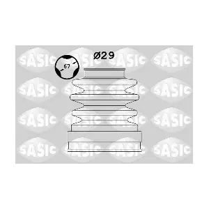 SASIC 1906011