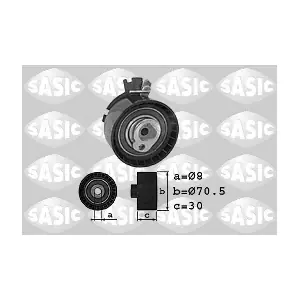 SASIC 1700016