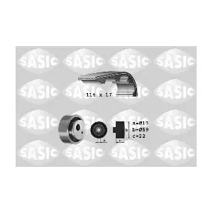 SASIC 1750024