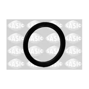 1950011 SASIC