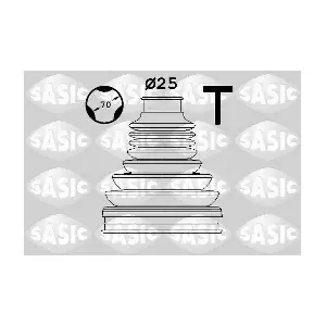 SASIC 1906170