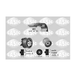 SASIC 1756003