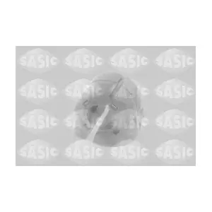 SASIC 2300032