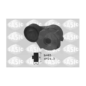 SASIC 1620055