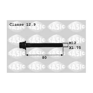 8700012 SASIC