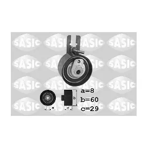 SASIC 1700013