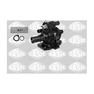 SASIC 3300024