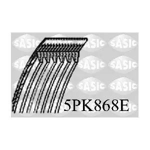 5PK868E SASIC