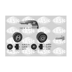 SASIC 1750013