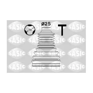 SASIC 1906124