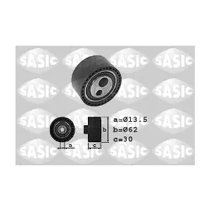 SASIC 1700011