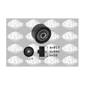 SASIC 1700010