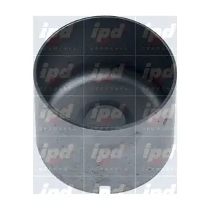 454282 IPD