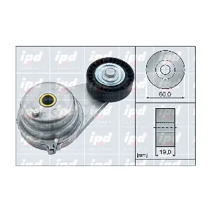 154077 IPD