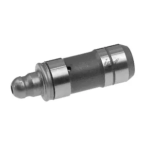 454095 IPD